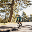 Load image into Gallery viewer, Fenwick Long Sleeve Jersey - Jasper Green - Wearwell Cycle Company