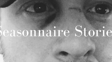 Seasonnaire Stories | The Crash