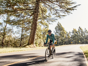 Fenwick Long Sleeve Jersey - Jasper Green - Wearwell Cycle Company